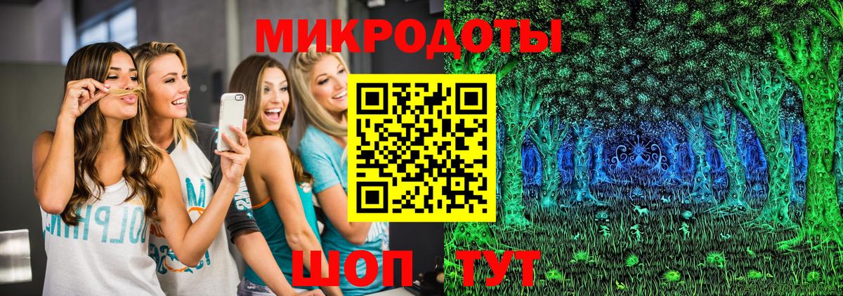 Псилоцибиновые грибы Psilocybe  Вход с VPN  Полысаево 